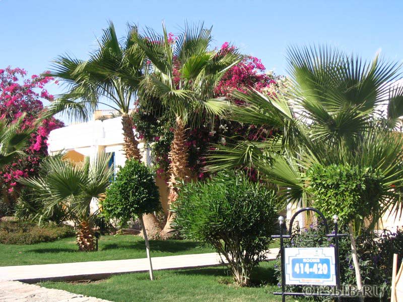 Lillyland Beach Club 4*