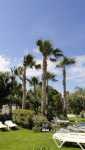 Grecian Sands Hotel Grecian Sands Hotel