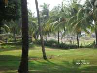Bollywood Sea Queen Beach Resort Bollywood Sea Queen Beach Resort
