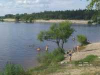 Баринова роща гостиница Баринова роща гостиница