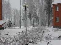 Лесной Городок пансионат Лесной Городок пансионат