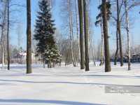 Лесной Городок пансионат Лесной Городок пансионат