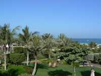 Ritz Carlton Ritz Carlton