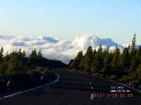 Канарские о-ва. о.Тенерифе, Iberostar Torviscas Playa 4* Канарские о-ва. о.Тенерифе, Iberostar Torviscas Playa 4*