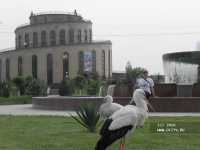 В Узбекистан своим ходом. Апрель-май 2010 г. В Узбекистан своим ходом. Апрель-май 2010 г.