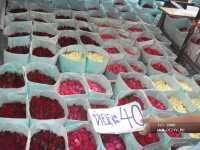 Бангкок Prince Palase 4* Паттайя Siam Bayshore 4* Бангкок Prince Palase 4* Паттайя Siam Bayshore 4*