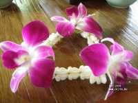 Пхукет, Naithonburi beach resort (4*) + Бангкок, Indra Regent Hotel (4*) Пхукет, Naithonburi beach resort (4*) + Бангкок, Indra Regent Hotel (4*)