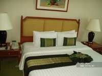 Radisson Radisson