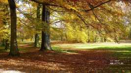 ������ � �����������, ��������������.