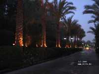 --, Sheraton Sharm Resort 4*