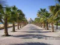 , Old Palace Resort Sahl Hasheesh 5*
