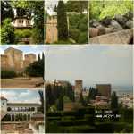 ������ - ����� - ������� - �������, ��������������� �����������