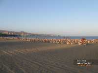 ������ ���� �������