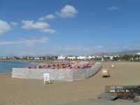 ������ ���������