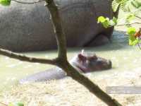 ��������. Hotel Suisse 3*