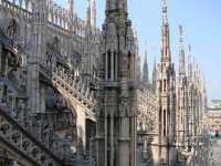 ��������������, �����, ������, �������