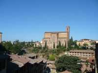 ������-���������