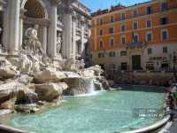 ���, Wind Rose 3*