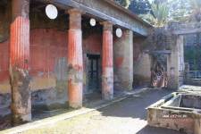 ��� ��� � �������