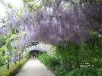 ���� ��������. ������-���-�������