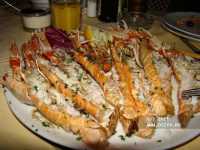 ������ 2010�. ��������. ������ �� ������ � ������ �� ���