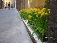 ��� �� �������, ��� � ���� �� ���������?