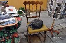 �������������� � ������ � ������ ���