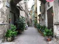 ����� �� ���� ���������� ������. ����� 2. ����������� ������.