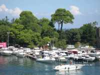 ������ �����