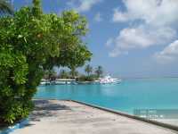 ��� �����, Sun Island Resort & Spa 5*