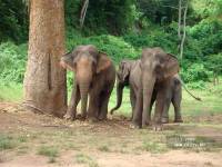 �� ����� ��� �� �����. ������� �� ������.