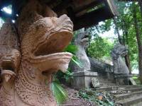 �� ����� ��� �� �����. ������� �����������. ������ ����.