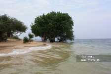 �������. �������. ��������� � ��������� � ���������������.