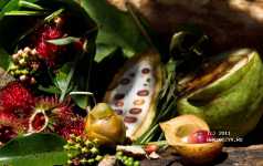 ��������, � �������� � �������