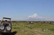 �������� - ��� 2012